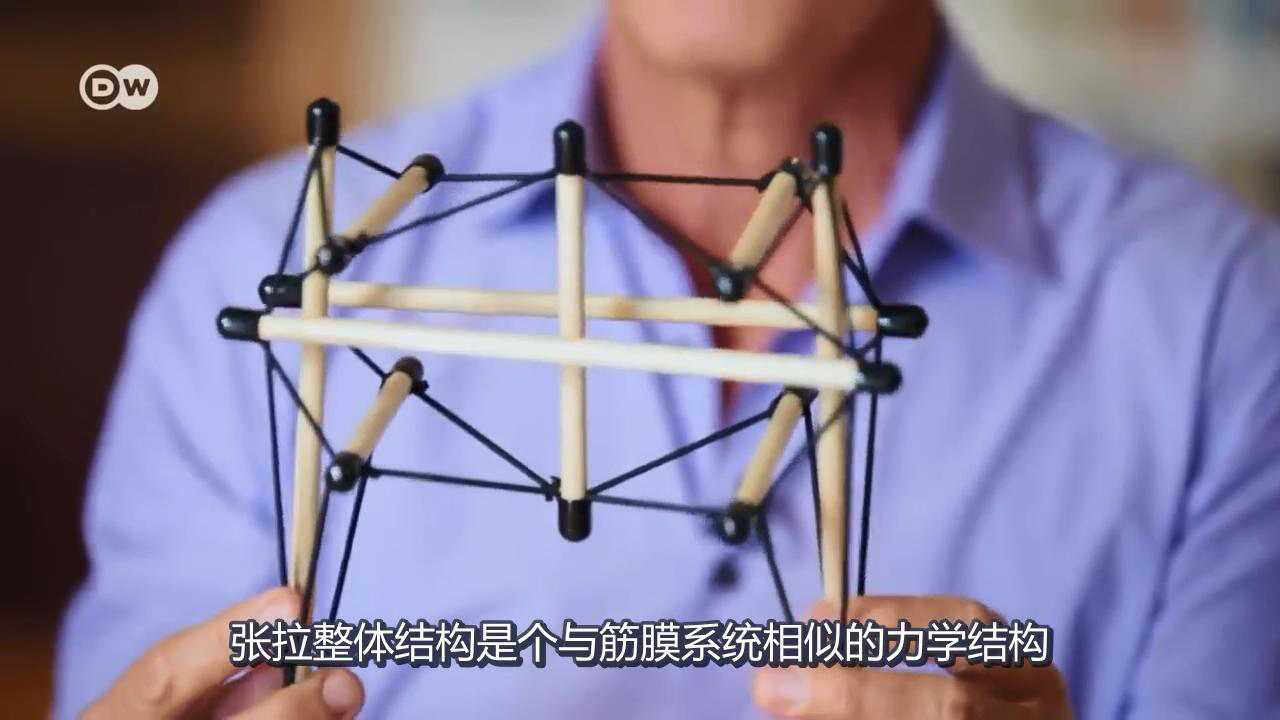 張拉整體模型